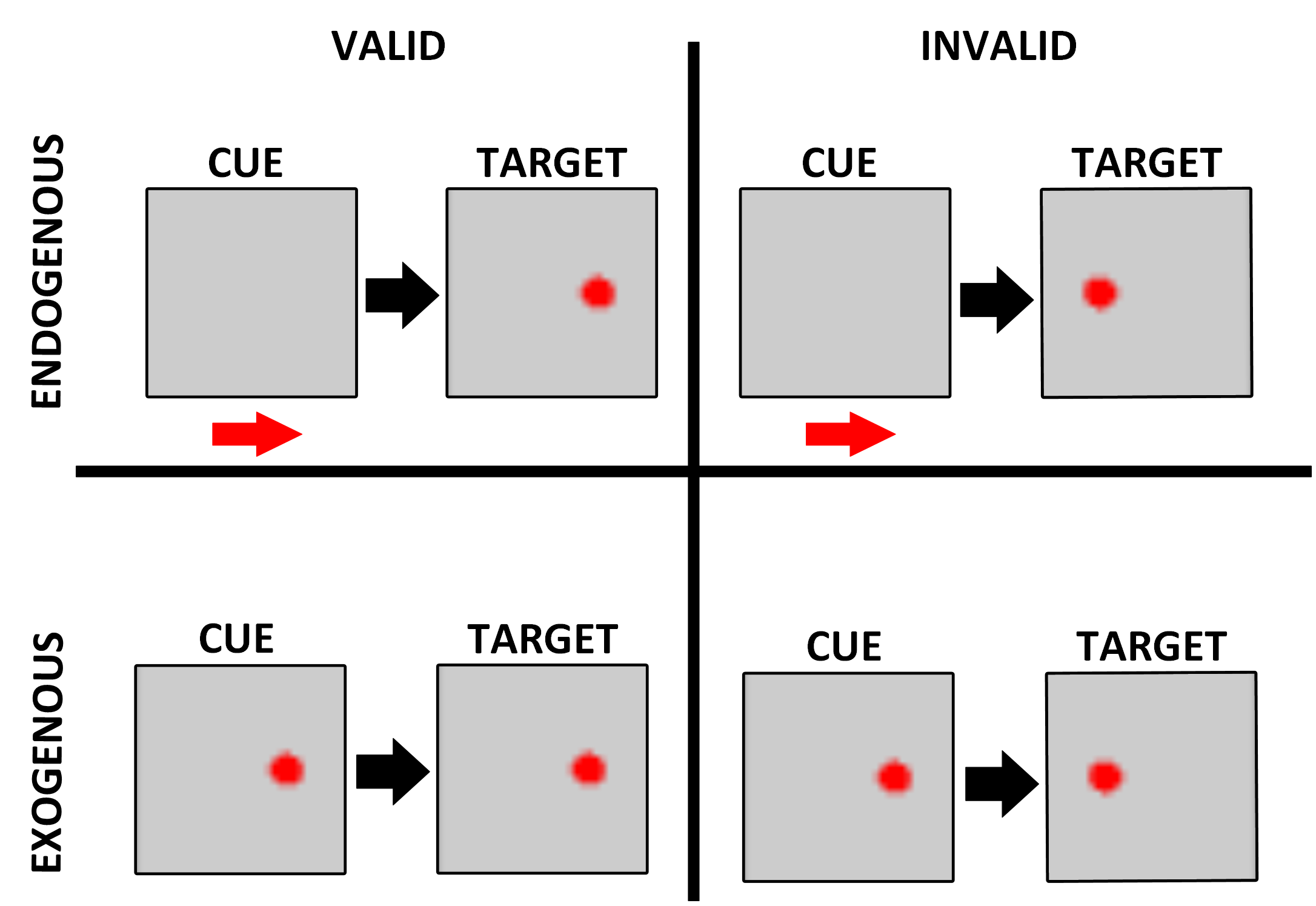 Posner experiment overview